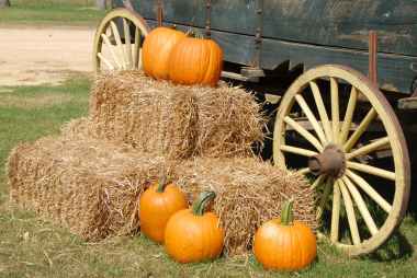 orange pumpkin on brown hay near gray carriage